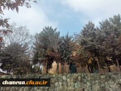 پاییز زیبا در پردیس شهید چمران - ۵ آذر ۱۳۹۷ 10