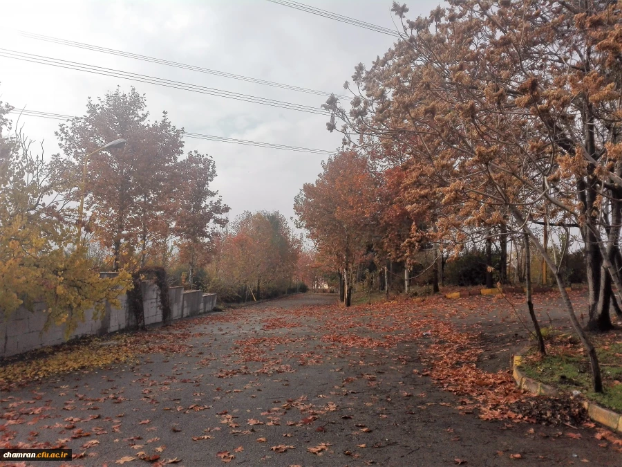 پاییز زیبا در پردیس شهید چمران - ۵ آذر ۱۳۹۷ 11