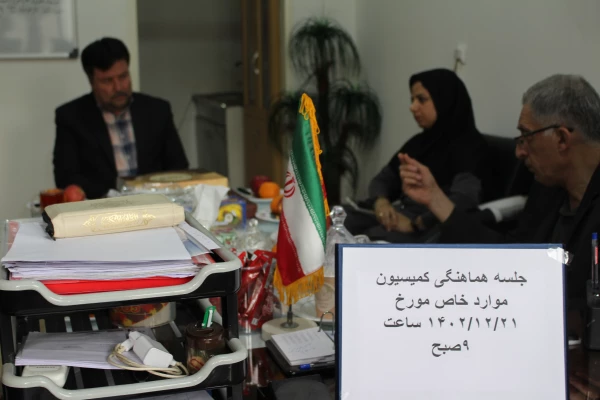 جلسه هماهنگی کمیسیون موارد خاص 3