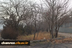 تصاویری از پردیس شهید چمران در بهمن ۱۴۰۲ 7