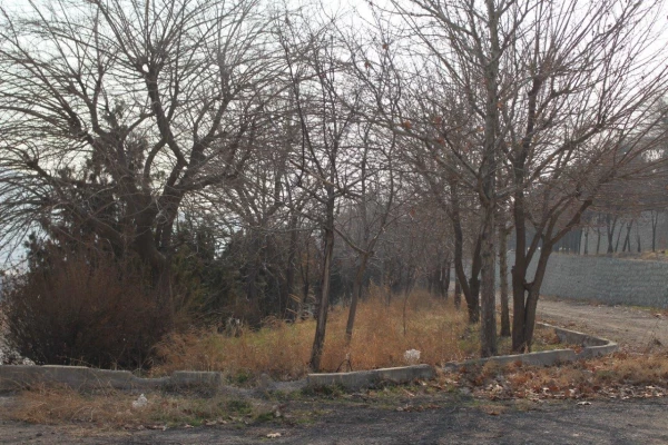 تصاویری از پردیس شهید چمران در بهمن ۱۴۰۲ 7