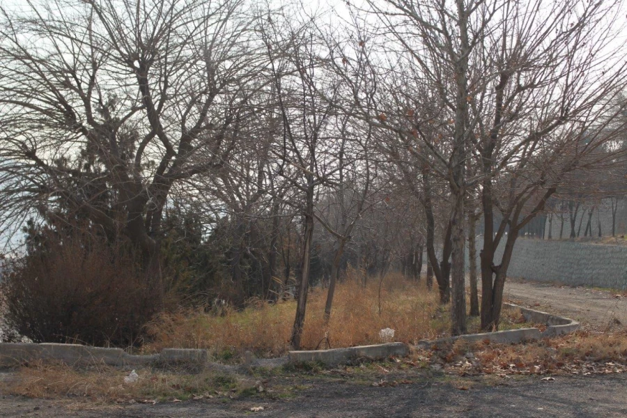 تصاویری از پردیس شهید چمران در بهمن ۱۴۰۲ 7