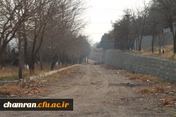 تصاویری از پردیس شهید چمران در بهمن ۱۴۰۲ 9