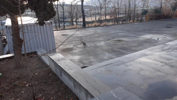 تصاویری از پردیس شهید چمران در بهمن ۱۴۰۲ 10