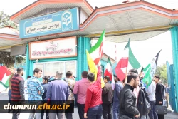 تجمع در حمایت از مجاهدات سربازان اسلام در پاسخ به رژیم خبیث صهیونیستی
 5