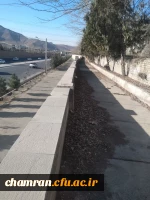 تعمیر دیوار و نرده کشی ضلع شرقی پردیس شهید چمران 3