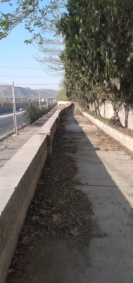 تعمیر دیوار و نرده کشی ضلع شرقی پردیس شهید چمران 4