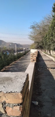 تعمیر دیوار و نرده کشی ضلع شرقی پردیس شهید چمران 9