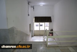 تصاویری از پردیس شهید چمران - عصر ۱۷ اردیبهشت ۱۴۰۳ 3