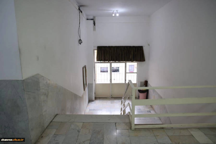 تصاویری از پردیس شهید چمران - عصر ۱۷ اردیبهشت ۱۴۰۳ 3