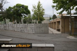 تصاویری از پردیس شهید چمران - عصر ۱۷ اردیبهشت ۱۴۰۳ 5