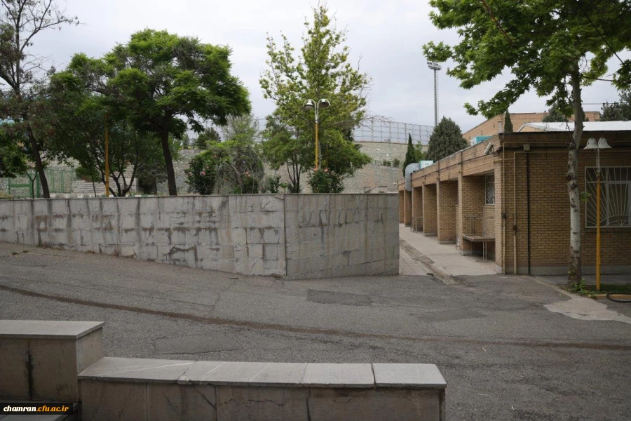 تصاویری از پردیس شهید چمران - عصر ۱۷ اردیبهشت ۱۴۰۳ 5