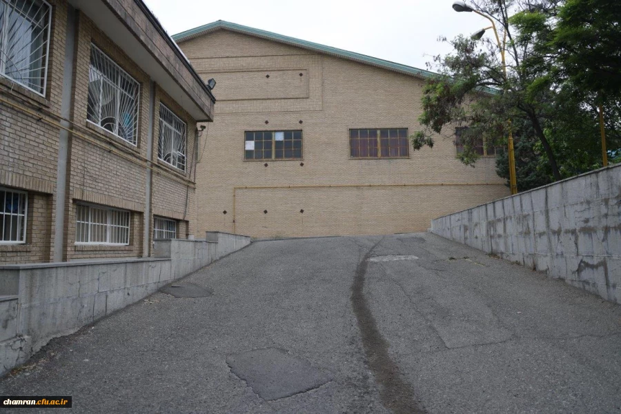 تصاویری از پردیس شهید چمران - عصر ۱۷ اردیبهشت ۱۴۰۳ 6