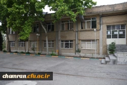 تصاویری از پردیس شهید چمران - عصر ۱۷ اردیبهشت ۱۴۰۳ 7