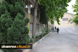 تصاویری از پردیس شهید چمران - عصر ۱۷ اردیبهشت ۱۴۰۳ 9