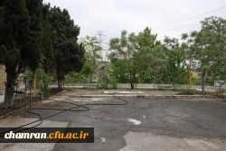 تصاویری از پردیس شهید چمران - عصر ۱۷ اردیبهشت ۱۴۰۳ 10