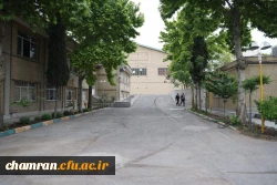 تصاویری از پردیس شهید چمران - عصر ۱۷ اردیبهشت ۱۴۰۳ 11