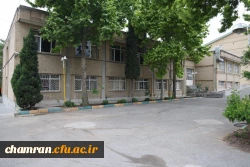 تصاویری از پردیس شهید چمران - عصر ۱۷ اردیبهشت ۱۴۰۳ 12