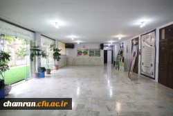 تصاویری از پردیس شهید چمران - عصر ۱۷ اردیبهشت ۱۴۰۳ 14