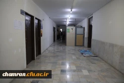 تصاویری از پردیس شهید چمران - عصر ۱۷ اردیبهشت ۱۴۰۳ 18