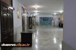 تصاویری از پردیس شهید چمران - عصر ۱۷ اردیبهشت ۱۴۰۳ 19