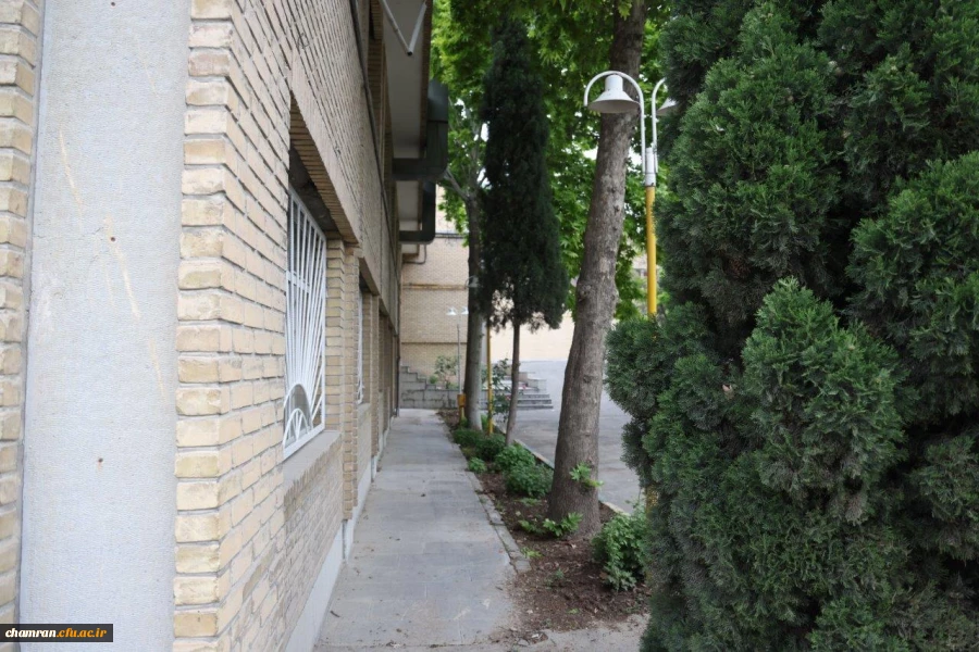 تصاویری از پردیس شهید چمران - عصر ۱۷ اردیبهشت ۱۴۰۳ 20