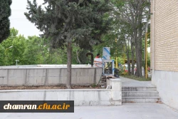 تصاویری از پردیس شهید چمران - عصر ۱۷ اردیبهشت ۱۴۰۳ 24