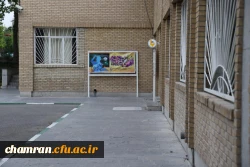 تصاویری از پردیس شهید چمران - عصر ۱۷ اردیبهشت ۱۴۰۳ 22