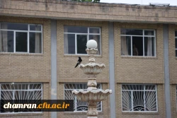 تصاویری از پردیس شهید چمران - عصر ۱۷ اردیبهشت ۱۴۰۳ 24