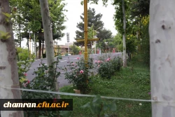 تصاویری از پردیس شهید چمران - عصر ۱۷ اردیبهشت ۱۴۰۳ 29