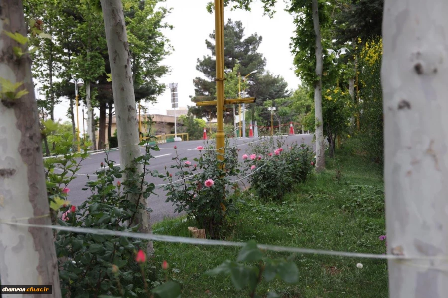تصاویری از پردیس شهید چمران - عصر ۱۷ اردیبهشت ۱۴۰۳ 29