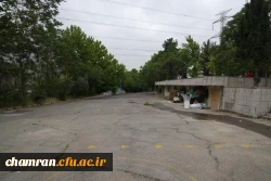 تصاویری از پردیس شهید چمران - عصر ۱۷ اردیبهشت ۱۴۰۳ 36