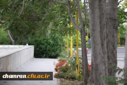 تصاویری از پردیس شهید چمران - عصر ۱۷ اردیبهشت ۱۴۰۳ 37