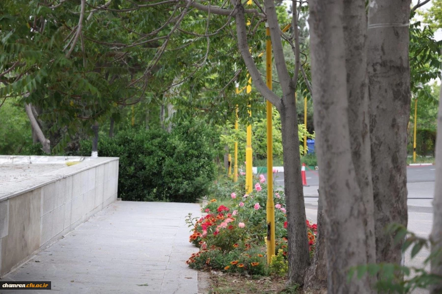 تصاویری از پردیس شهید چمران - عصر ۱۷ اردیبهشت ۱۴۰۳ 37