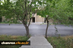 تصاویری از پردیس شهید چمران - عصر ۱۷ اردیبهشت ۱۴۰۳ 38