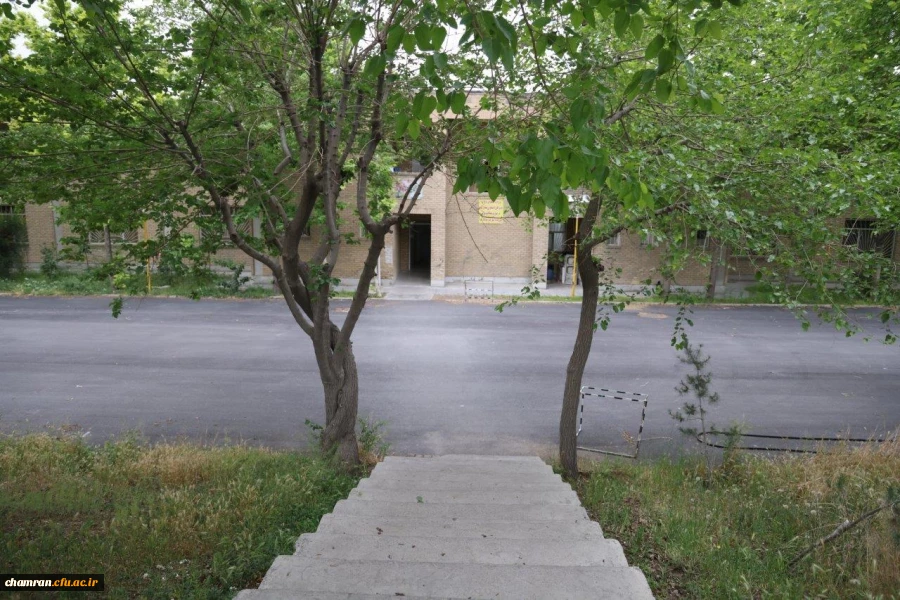 تصاویری از پردیس شهید چمران - عصر ۱۷ اردیبهشت ۱۴۰۳ 38