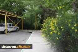 تصاویری از پردیس شهید چمران - عصر ۱۷ اردیبهشت ۱۴۰۳ 39