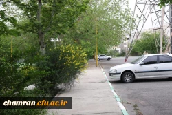 تصاویری از پردیس شهید چمران - عصر ۱۷ اردیبهشت ۱۴۰۳ 40