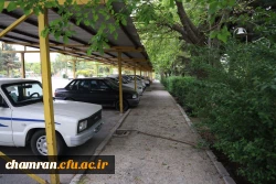 تصاویری از پردیس شهید چمران - عصر ۱۷ اردیبهشت ۱۴۰۳ 41