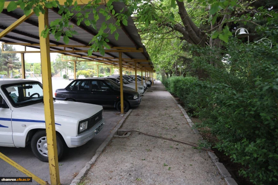 تصاویری از پردیس شهید چمران - عصر ۱۷ اردیبهشت ۱۴۰۳ 41