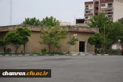 تصاویری از پردیس شهید چمران - عصر ۱۷ اردیبهشت ۱۴۰۳ 42