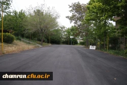 تصاویری از پردیس شهید چمران - عصر ۱۷ اردیبهشت ۱۴۰۳ 45