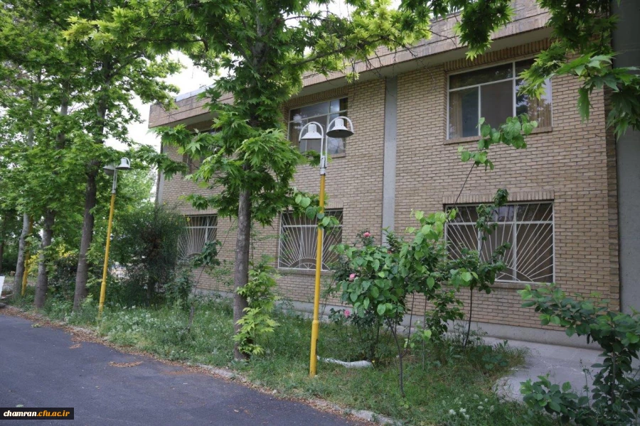 تصاویری از پردیس شهید چمران - عصر ۱۷ اردیبهشت ۱۴۰۳ 46