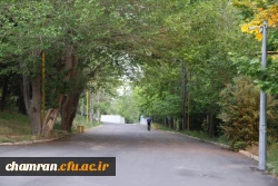 تصاویری از پردیس شهید چمران - عصر ۱۷ اردیبهشت ۱۴۰۳ 47