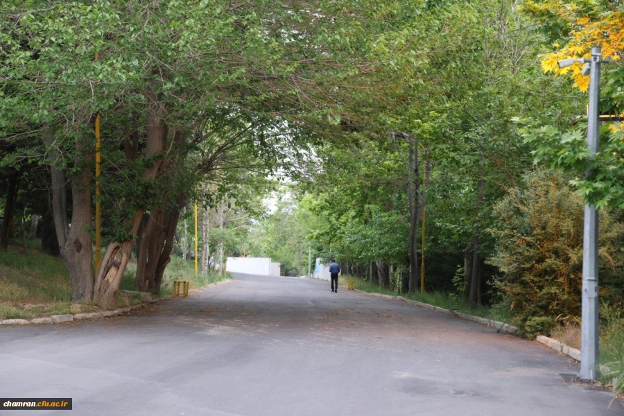 تصاویری از پردیس شهید چمران - عصر ۱۷ اردیبهشت ۱۴۰۳ 47