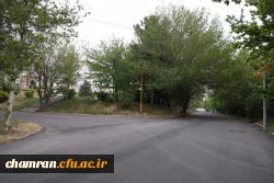 تصاویری از پردیس شهید چمران - عصر ۱۷ اردیبهشت ۱۴۰۳ 48