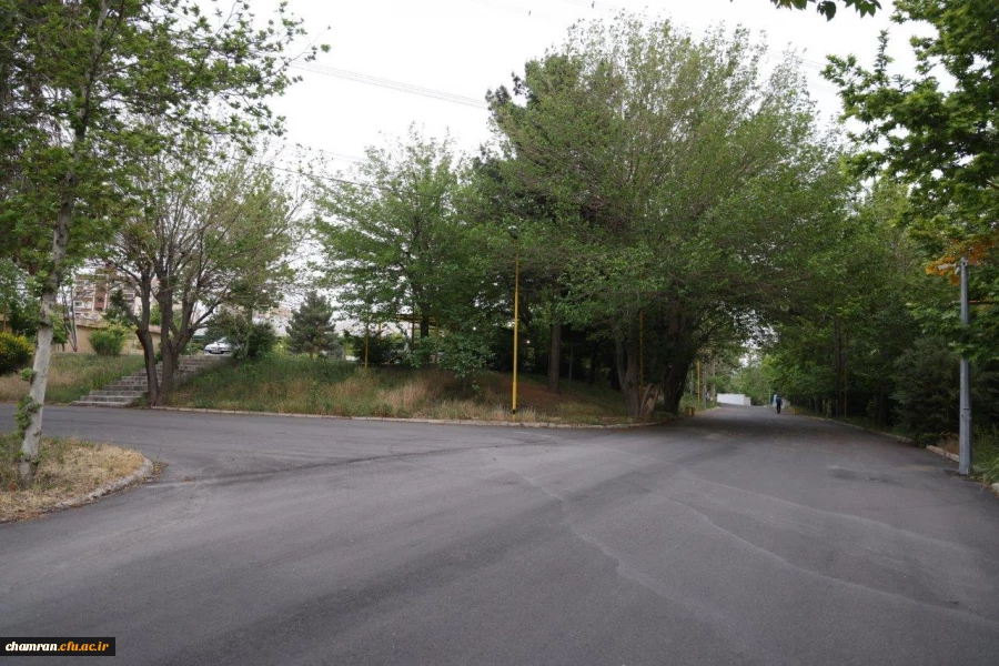 تصاویری از پردیس شهید چمران - عصر ۱۷ اردیبهشت ۱۴۰۳ 48