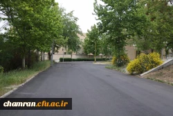 تصاویری از پردیس شهید چمران - عصر ۱۷ اردیبهشت ۱۴۰۳ 50