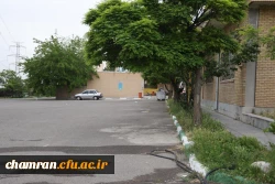 تصاویری از پردیس شهید چمران - عصر ۱۷ اردیبهشت ۱۴۰۳ 54