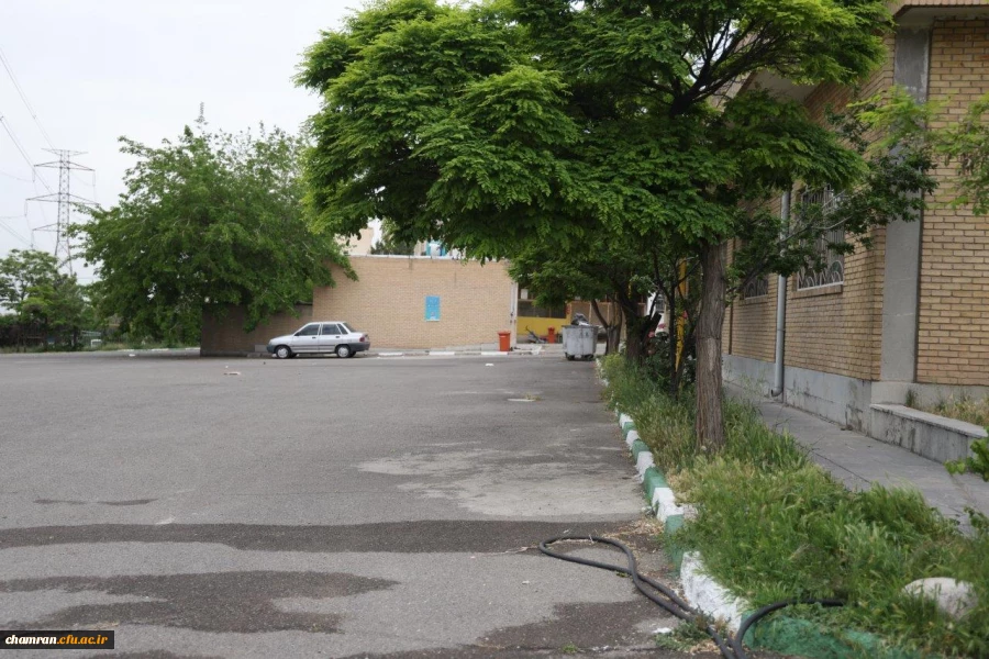 تصاویری از پردیس شهید چمران - عصر ۱۷ اردیبهشت ۱۴۰۳ 54